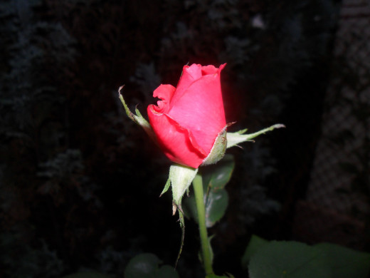 698069 (a): :2560x1920